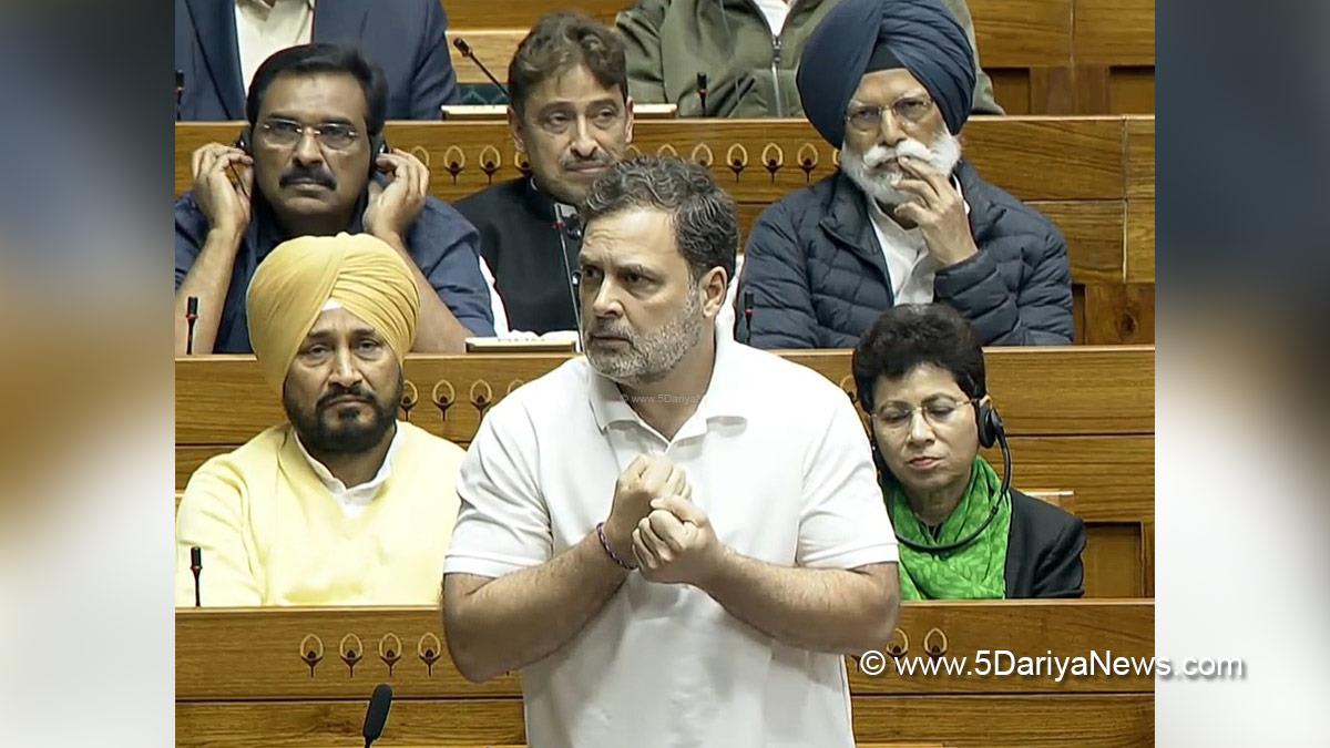 Rahul Gandhi, Indian National Congress, Congress, All India Congress Committee, Congress Working Committee, CWC