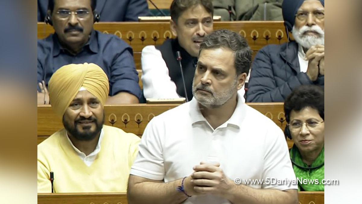 Rahul Gandhi, Indian National Congress, Congress, All India Congress Committee, Congress Working Committee, CWC