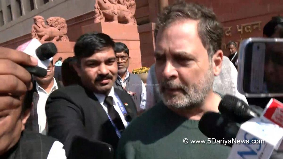 Rahul Gandhi, Indian National Congress, Congress, All India Congress Committee, Congress Working Committee, CWC