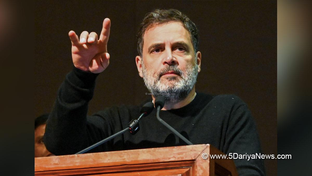 Rahul Gandhi, Indian National Congress, Congress, All India Congress Committee, Congress Working Committee, CWC