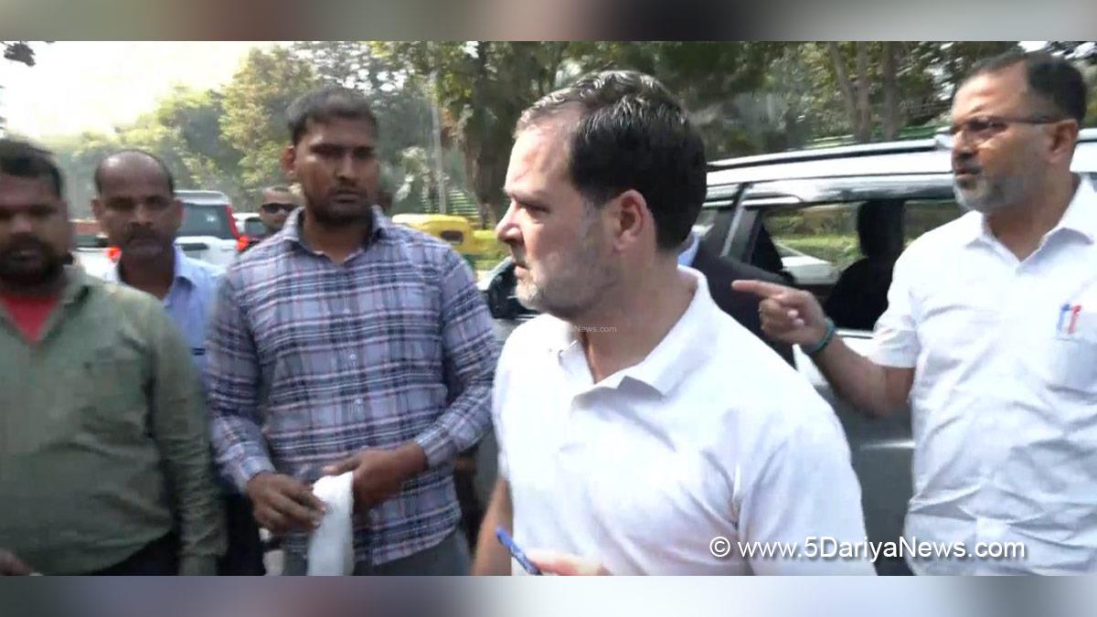 Rahul Gandhi, Indian National Congress, Congress, All India Congress Committee, Congress Working Committee, CWC
