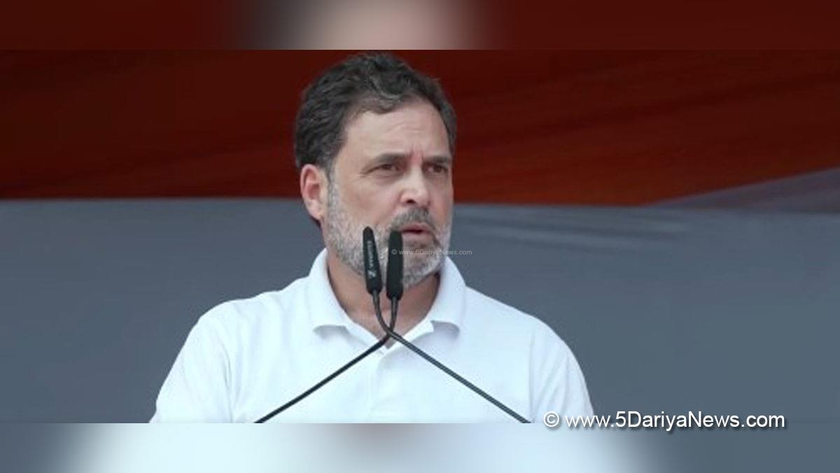 Rahul Gandhi, Indian National Congress, Congress, All India Congress Committee, Congress Working Committee, CWC
