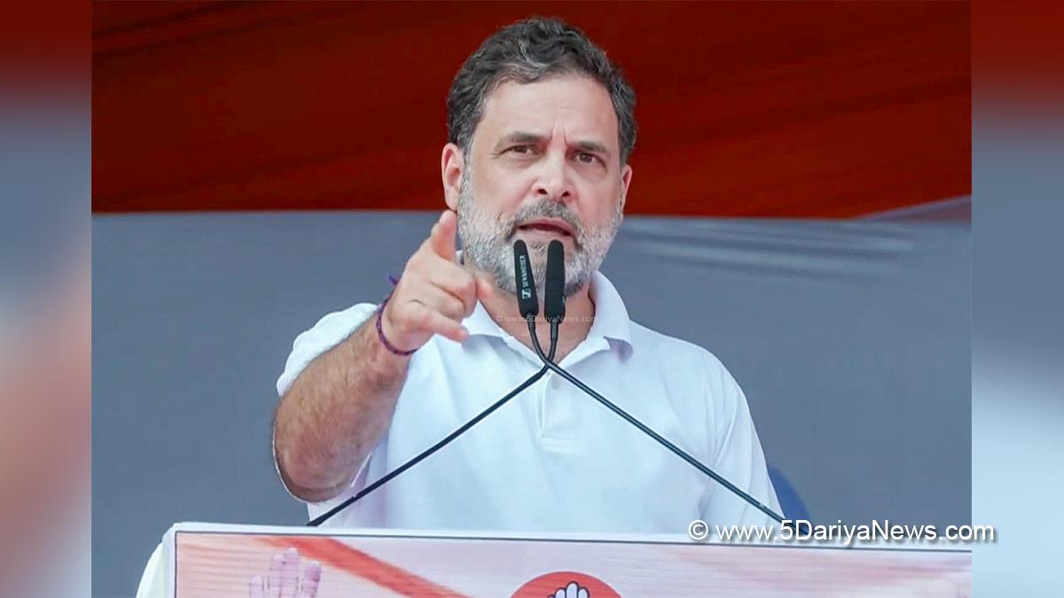 Rahul Gandhi, Indian National Congress, Congress, All India Congress Committee, Congress Working Committee, CWC