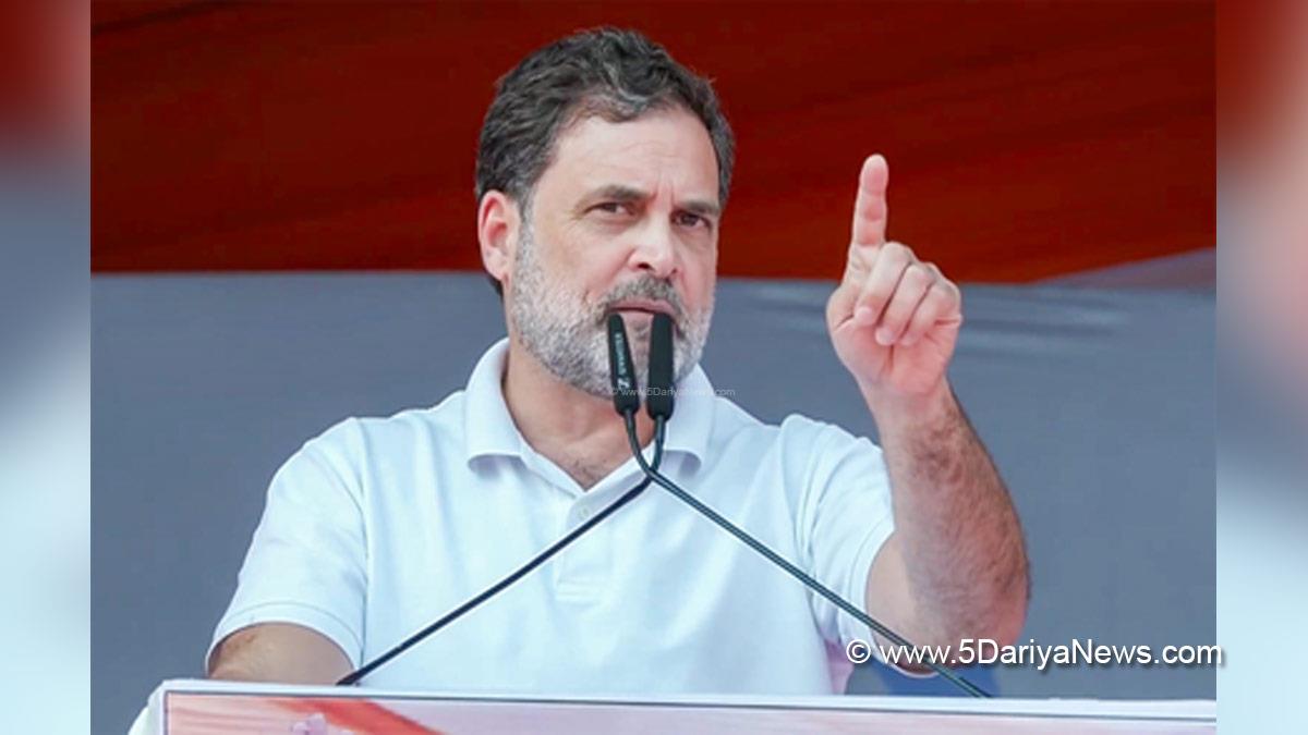 Rahul Gandhi, Indian National Congress, Congress, All India Congress Committee, Congress Working Committee, CWC