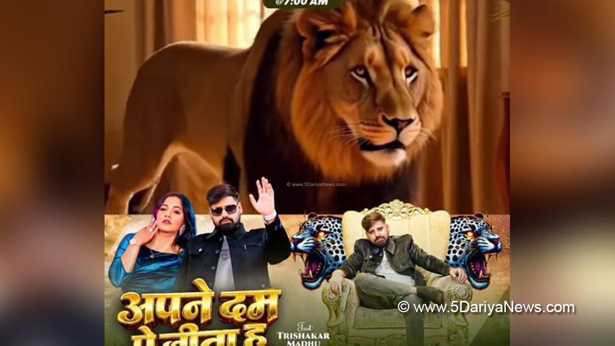Bhojpuri, Entertainment, Actor, Cinema, Hindi Films, Movie, Bhojpuri Film
