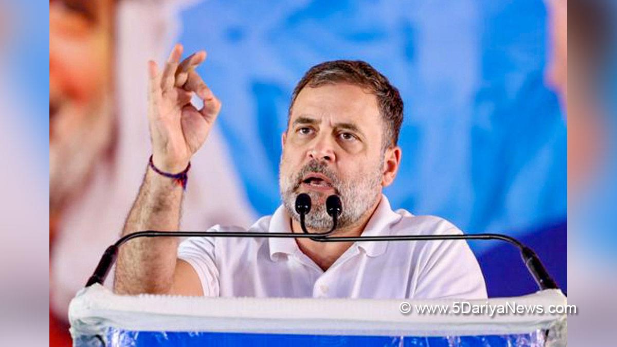 Rahul Gandhi, Indian National Congress, Congress, All India Congress Committee, Congress Working Committee, CWC