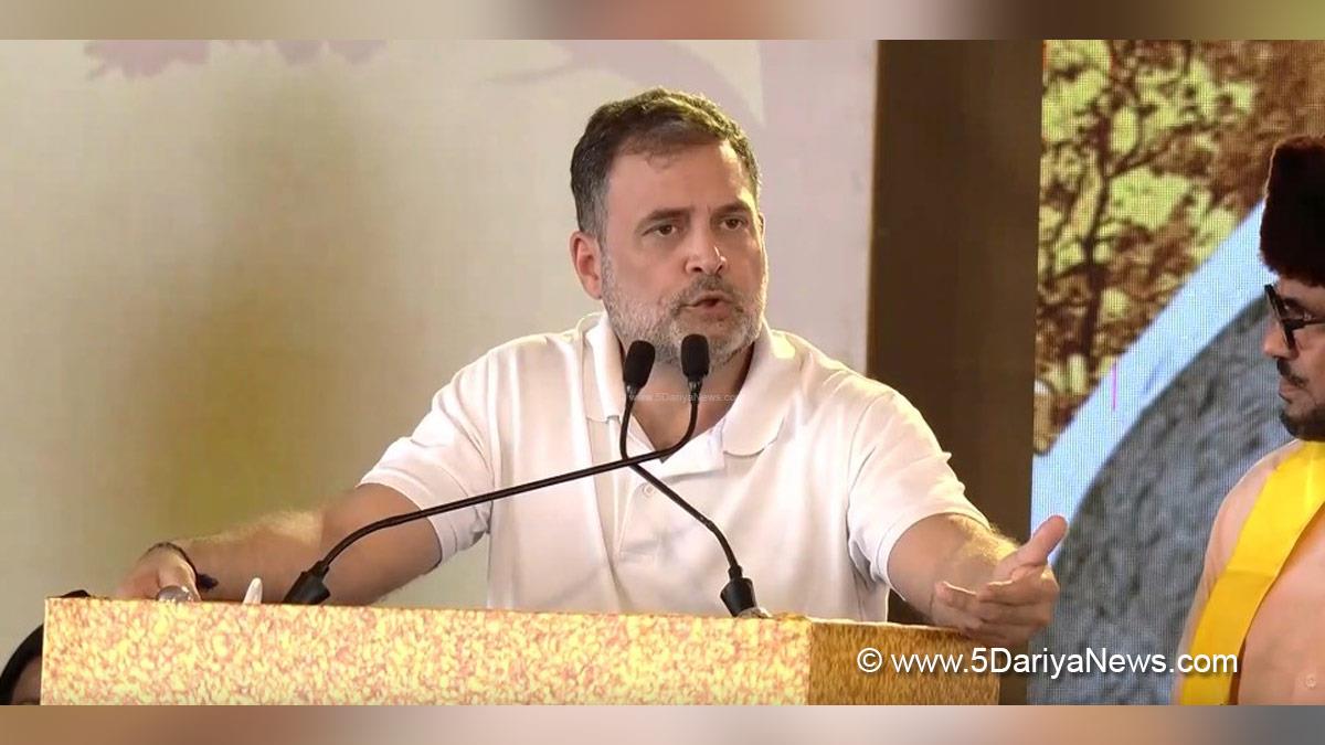 Rahul Gandhi, Indian National Congress, Congress, All India Congress Committee, Congress Working Committee, CWC