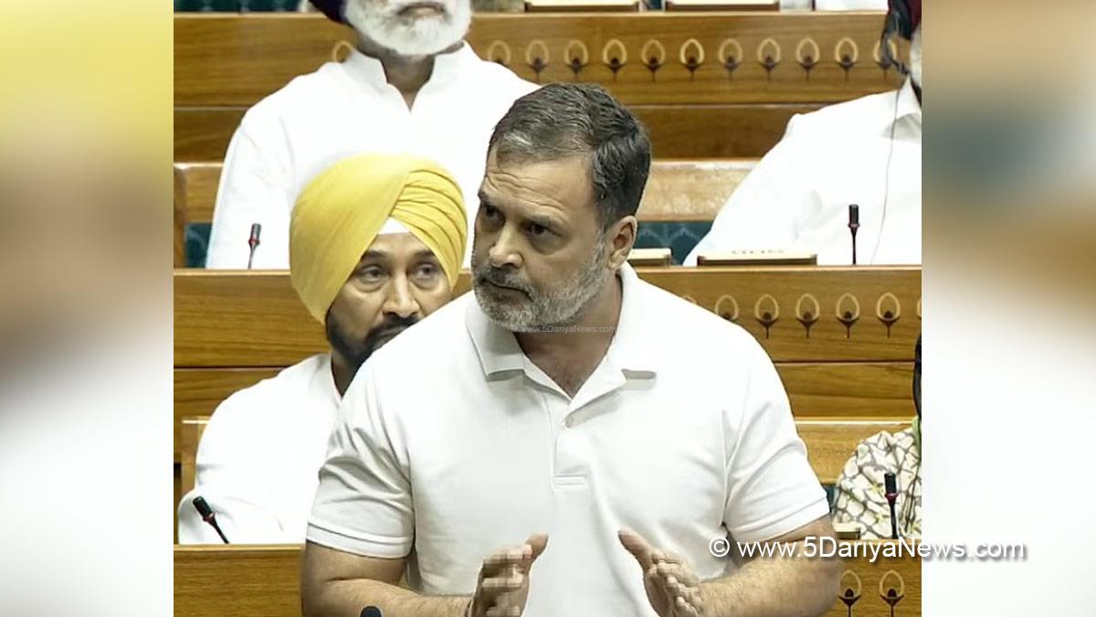 Rahul Gandhi, Indian National Congress, Congress, All India Congress Committee, Congress Working Committee, CWC