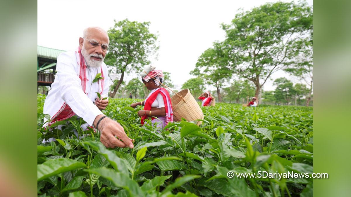 Narendra Modi, Dibrugarh