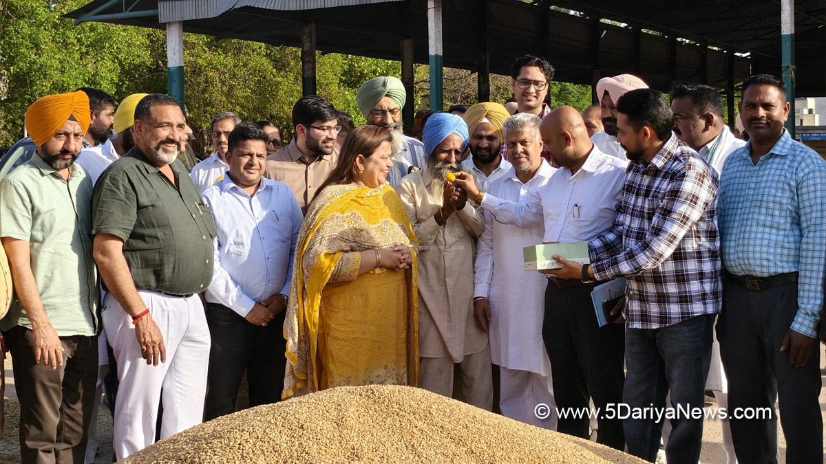 Neena Mittal, Rajpura, AAP Punjab, Banur