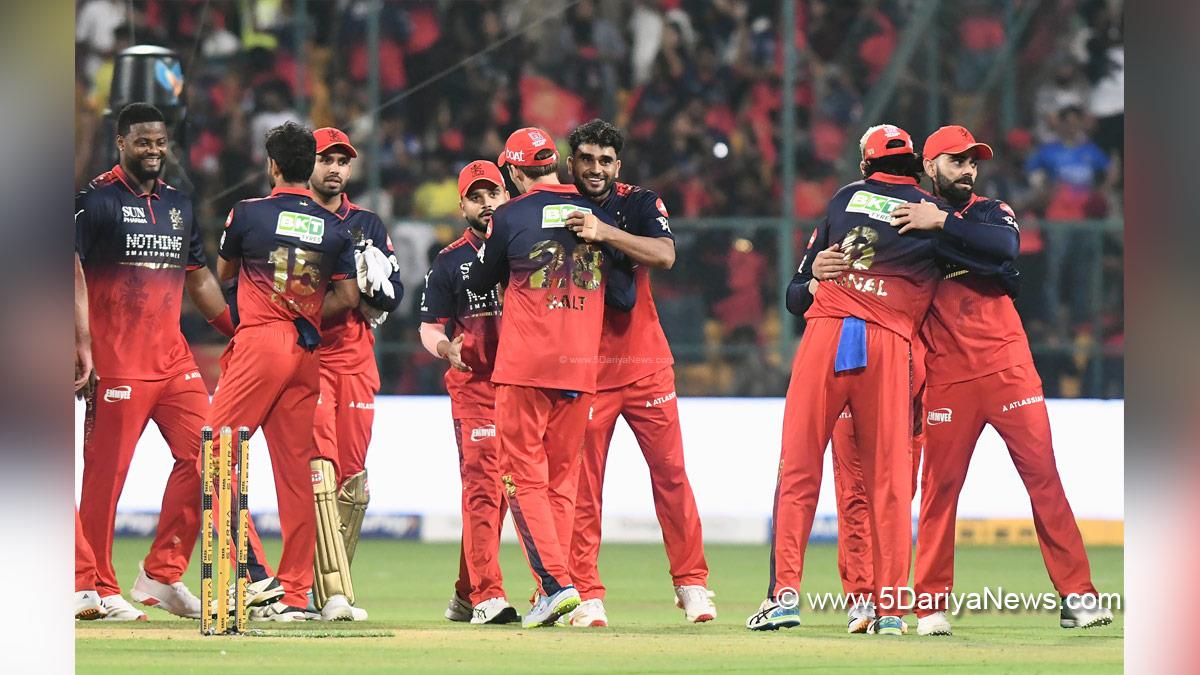 Sports News, Cricket, IPL, IPL 2026, Royal Challengers Bengaluru, RCB, Chennai Super Kings, CSK, Tim David, Devdutt Padikkal, Rajat Patidar, Bengaluru