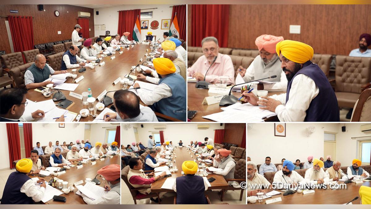 Bhagwant Mann, Bhagwant Singh Mann, AAP Punjab, Cabinet Decision Punjab
