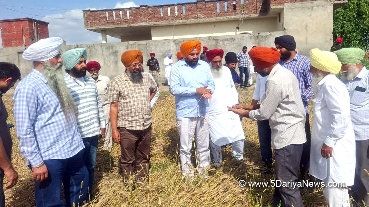 Gurjeet Singh Aujla, Gurjit Singh Aujla, Punjab, Amritsar, Punjab Congress