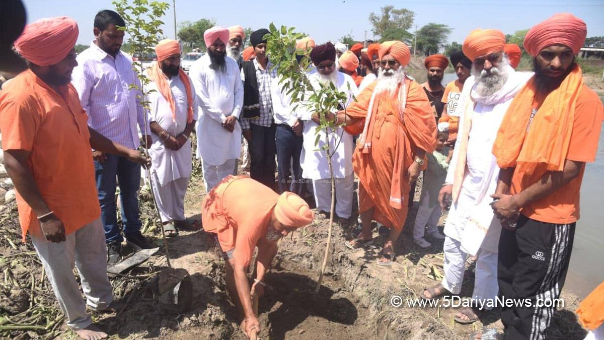 Sant Balbir Singh Seechewal, Sant Seechewal, AAP Punjab, Ludhiana, Buddha Dariya