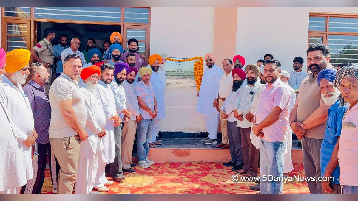 Kuljit Singh Randhawa, AAP Punjab 