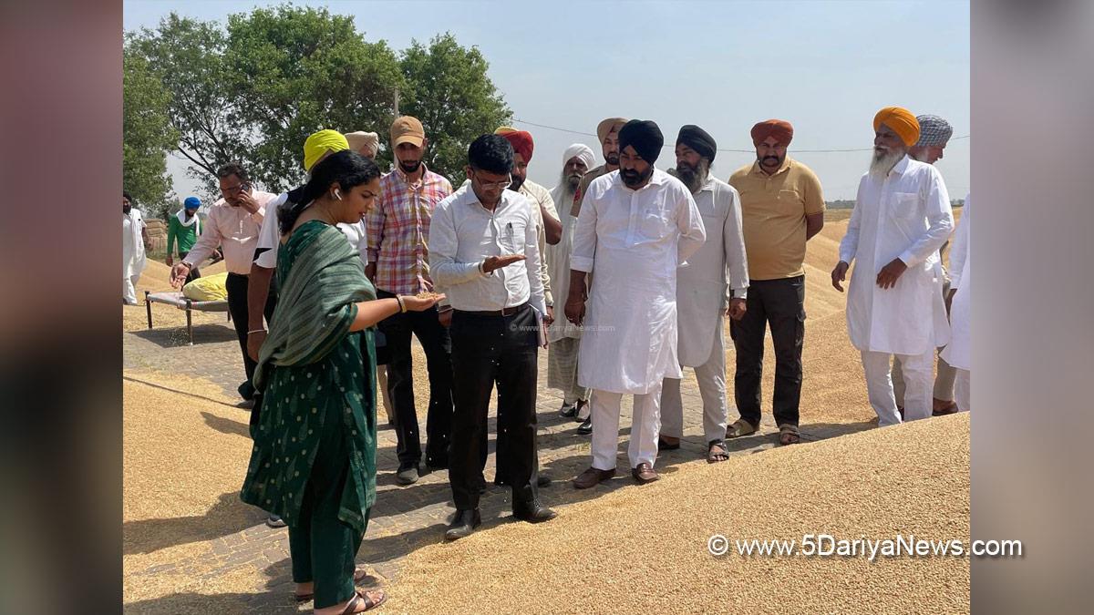 Deepshikha Sharma, DC Ferozepur, Deputy Commissioner Ferozepur, Ferozepur