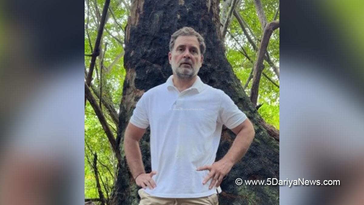 Rahul Gandhi, Indian National Congress, Congress