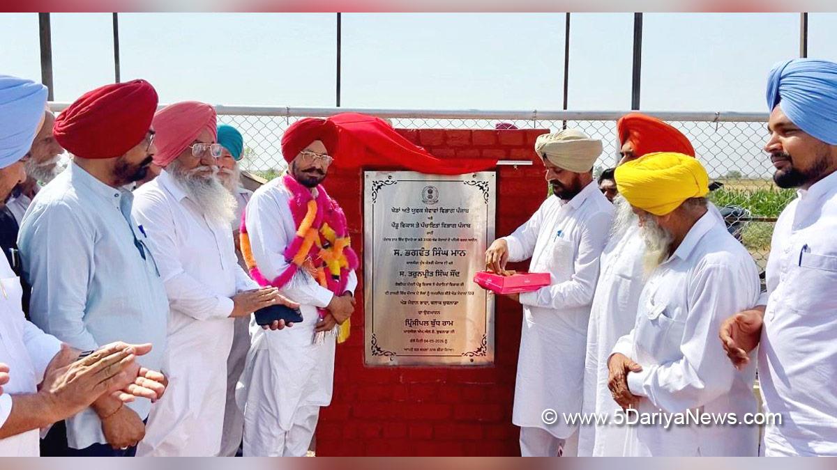 Principal Budh Ram, AAP Punjab, Budhlada