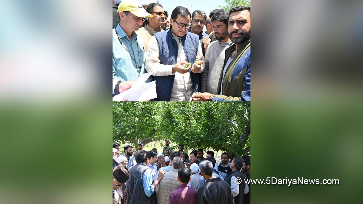 Javid Ahmad Dar, Javid Dar, Jammu and Kashmir National Conference, National Conference