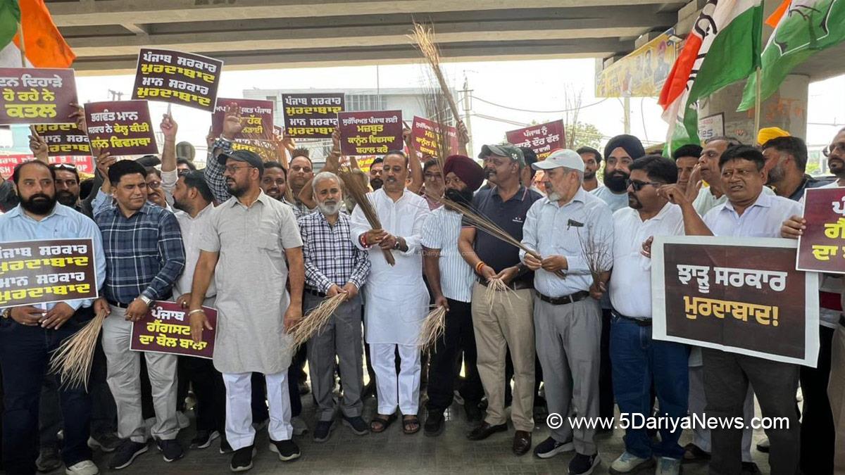 Protest, Punjab Pradesh Congress Committee, Congress, Punjab Congress