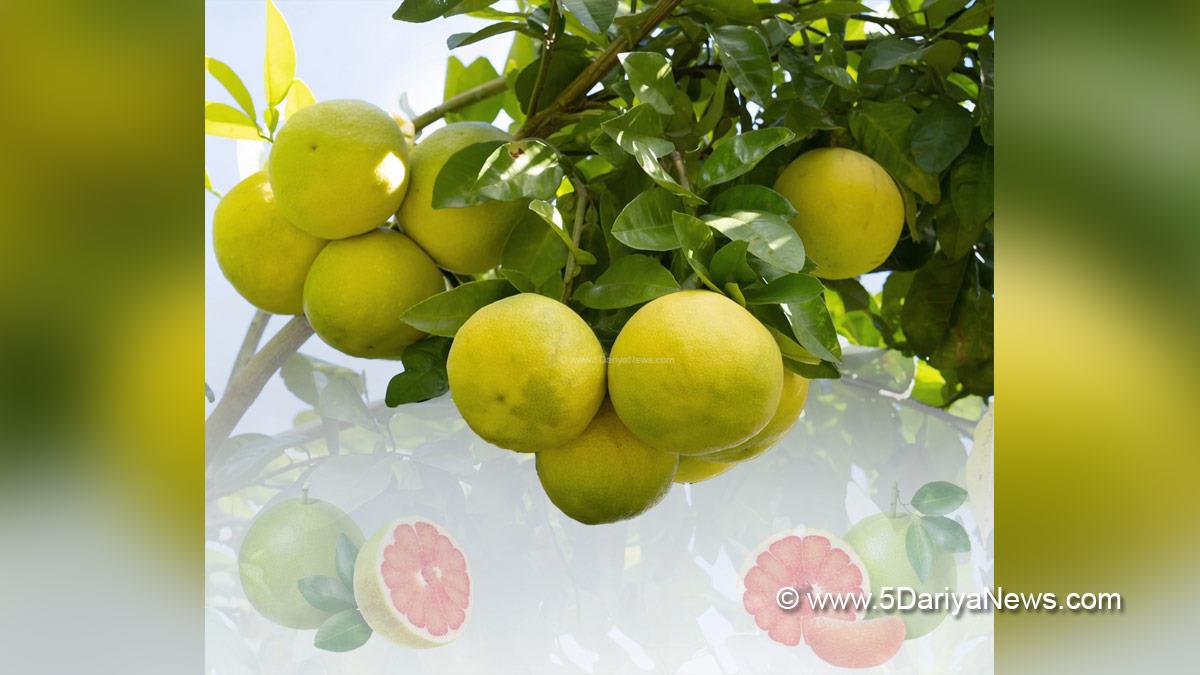 Health