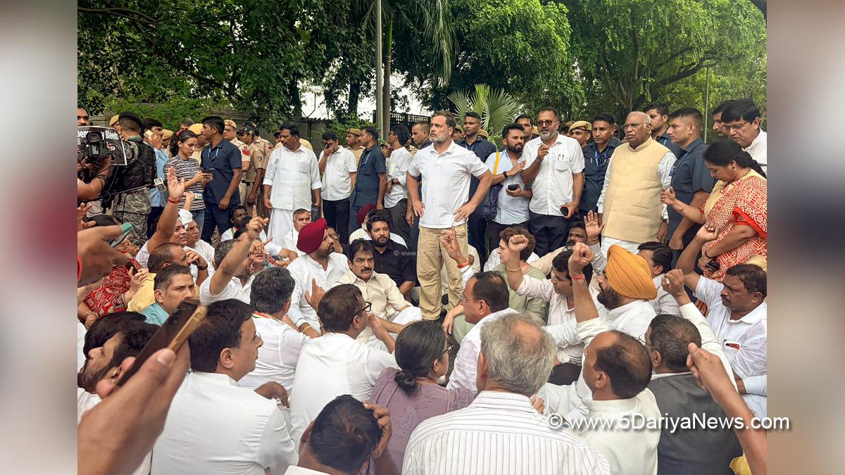 Rahul Gandhi, Indian National Congress, Congress, Priyanka Gandhi, Priyanka Gandhi Vadra, Mallikarjun Kharge, New Delhi