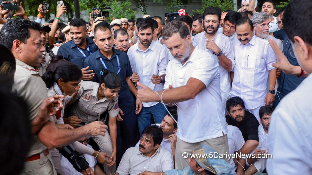 Protest, Rahul Gandhi, Indian National Congress, Congress, All India Congress Committee,Congress Working Committee, CWC
