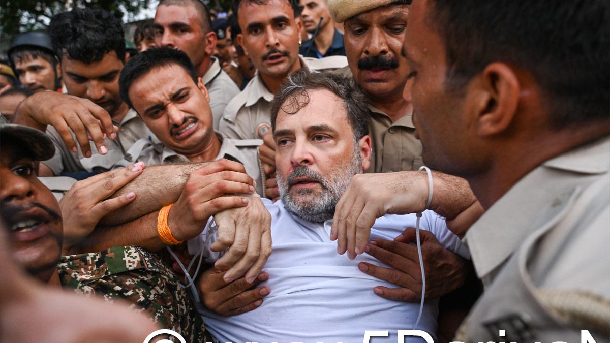 Protest, Rahul Gandhi, Indian National Congress, Congress, All India Congress Committee,Congress Working Committee, CWC