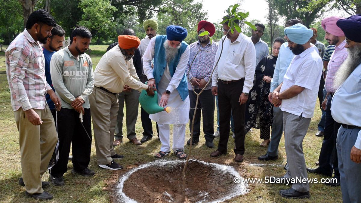 Kultar Singh Sandhwan, AAP Punjab, Punjab, Punjab News, Latest Punjab News