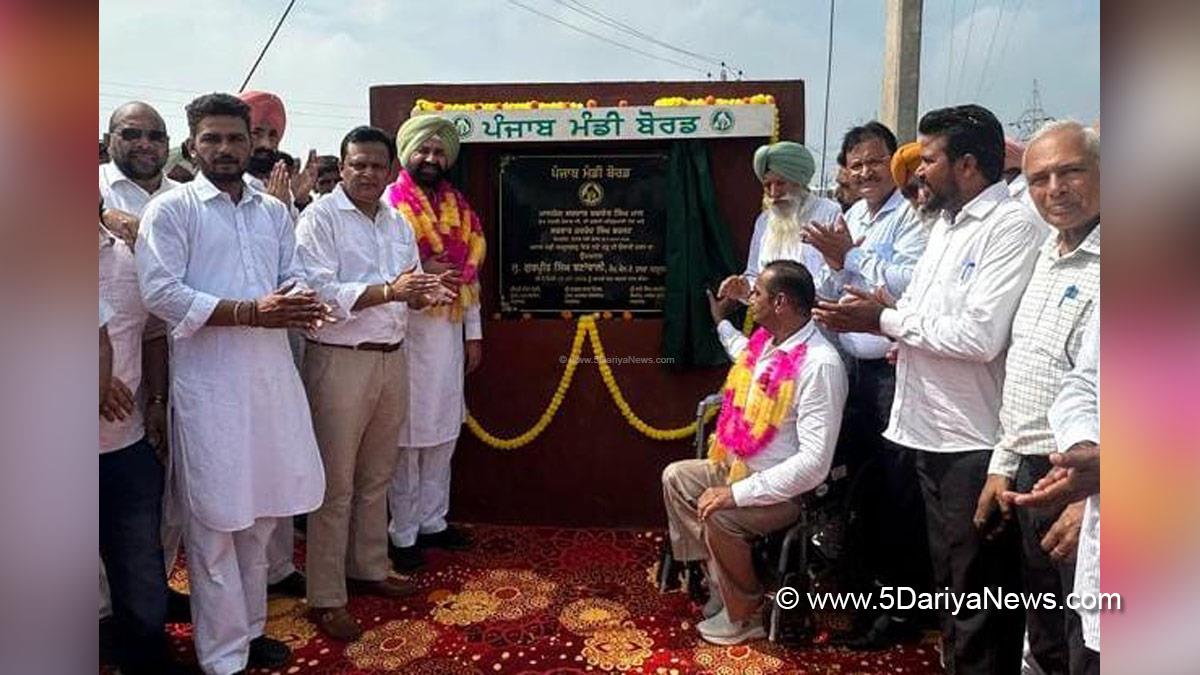 Gurpreet Singh Banawali, Sardulgarh, AAP Punjab, Punjab, Punjab News, Latest Punjab News