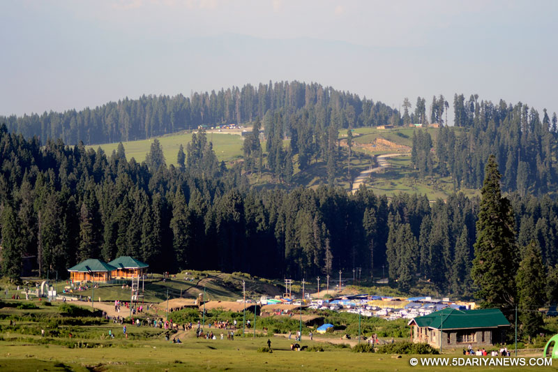 Doodh Phatri: a scenic, beautiful hillock in central Kashmir gaining popularity as new tourist destination