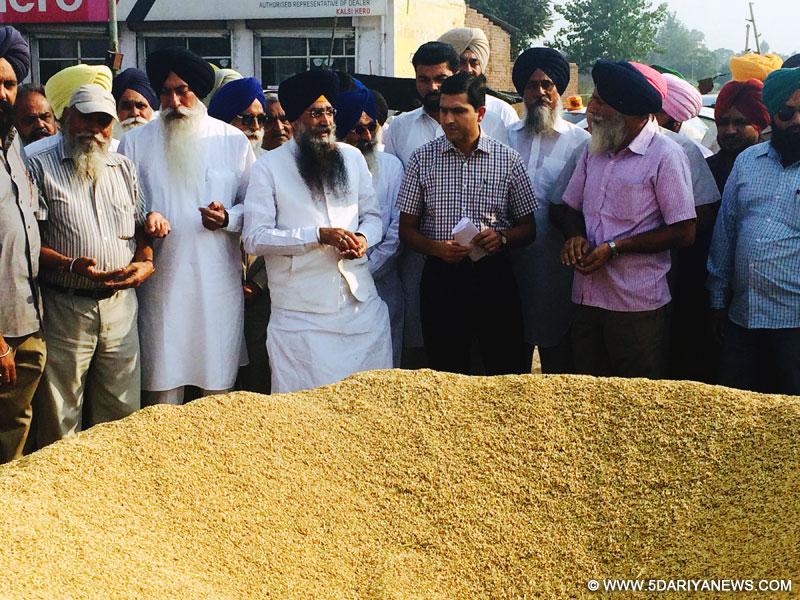 Sharanjit Singh Dhillon Issues Strict Instructions For Timely Procurement Of Paddy